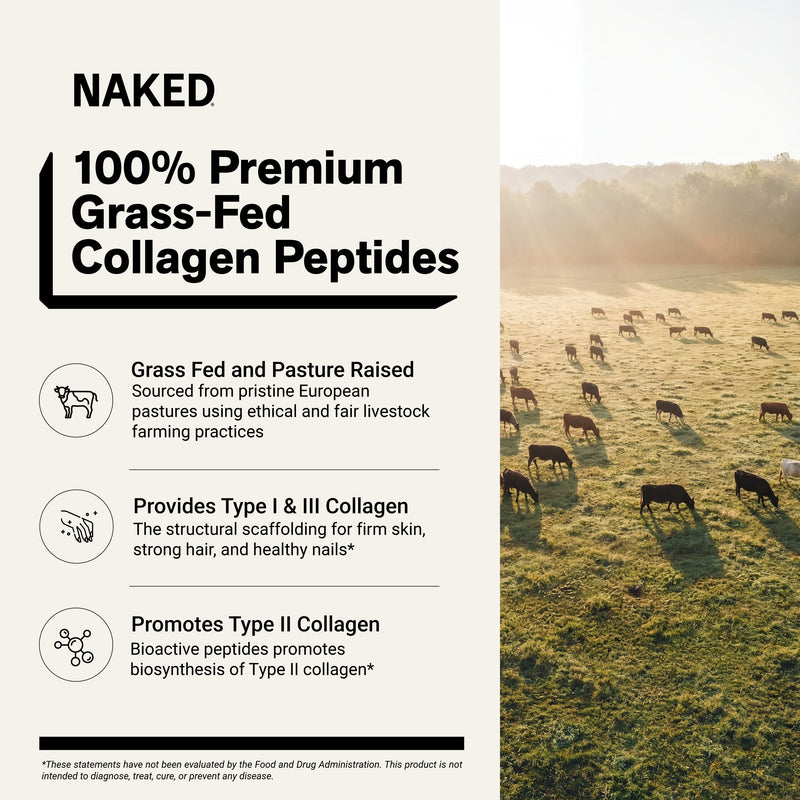 Chocolate Collagen Peptides Powder - Chocolate Collagen Peptides